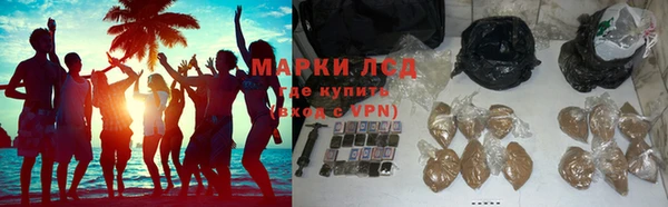 сатива Алексеевка