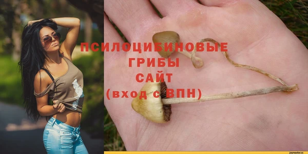 а пвп мука Алзамай