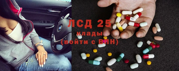 сатива Алексеевка