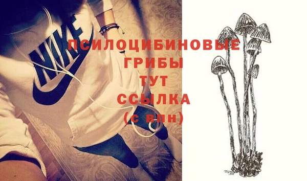сатива Алексеевка