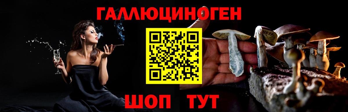Павлово  Галлюциногенные грибы Psilocybine cubensis  Псилоцибиновые грибы GOLDEN TEACHER  Вход с VPN 